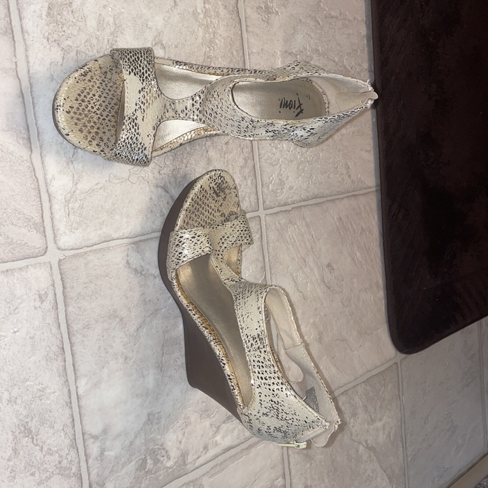 Scale Wedges - Picture 2 of 6